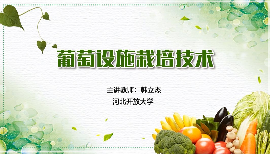 葡萄設施栽培技術