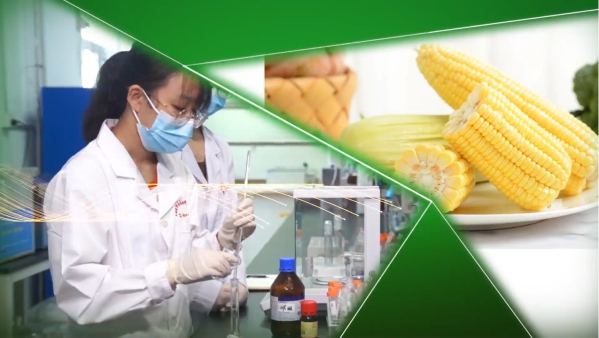 蕎麥中抗氧化性的測定